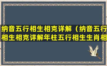 纳音五行相生相克详解（纳音五行相生相克详解年柱五行相生生肖相克怎 🌸 么回事）